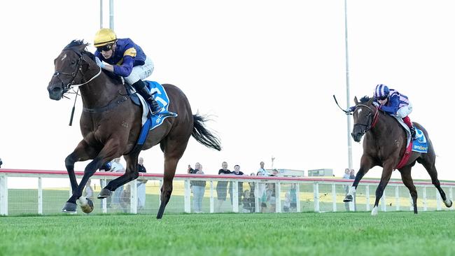 Moby Dick will attempt to remain unbeaten when he steps up in class at Bendigo on Saturday. Picture: Racing Photos via Getty Images