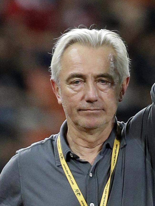 New Socceroos coach Bert Van Marwijk is familiar with the Aussie squad. Pic: AP