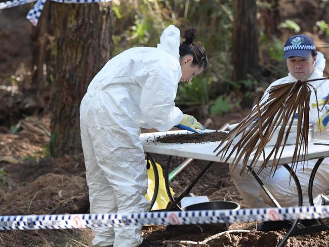 Forensics sift through the soil.