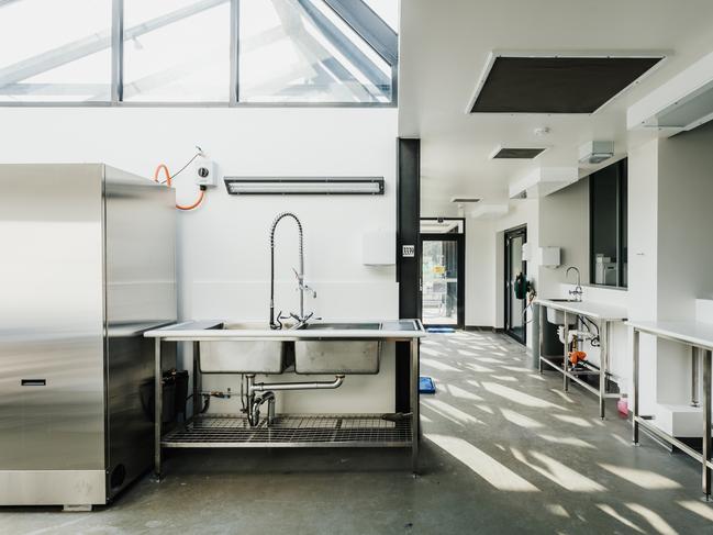 The University of Tasmania’s PC2/QC2 glasshouse facility complete with a lab and growth chambers by Preston Lane. Picture: ADAM GIBSON