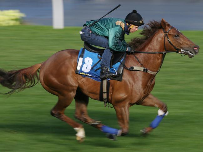 Breakfast with the Best at Moonee Valley. Capitalist ridden by Kerryn McEvoy . Pic: Michael Klein