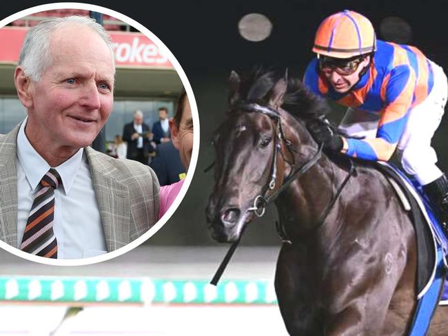 Sunshine Coast racing trainer Shaun Dwyer and star runner Anemacore. Picture: Grant Peters/Trackside Photography,