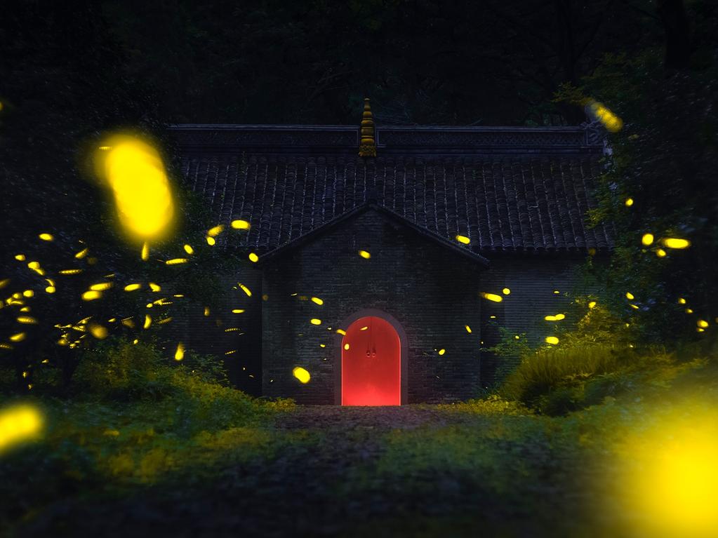 Fireflies Flying. Photographer : Jiamin Lu Year: 2018 “This photo was taken in Jiangsu, a city in Nanjing province, shooting the Linggu Temple scenic area in June 2017. Due to environmental destruction, I have rarely seen fireflies near my life, not to mention large tracts. My friend told me that at Nanjing’s Linggu Temple there are many fireflies, so we went to photograph them. I hope this wonderful scene will last longer. I originally bought a camera to record my daughter’s birth and growth, and later found landscape photography very enjoyable. My main focuses are shooting the landscape in my beautiful hometown of Wuxi to show everyone its beautiful scenery and also help to preserve it.” Copyright: © Jiamin Lu, China, Entry, Open, Wildlife, 2018 Sony World Photography Awards