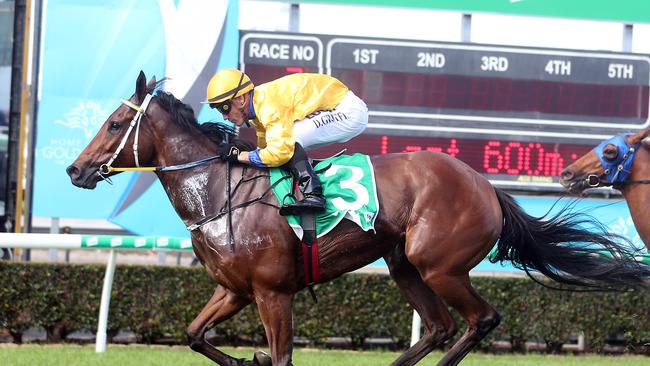 Gold Coast race meeting at Aquis Park.Photo of race number 2 winner number 3 FELINO BEL. Jockey is Daniel Griffin. Trainer is Bryan and Daniel Gay.Photo by Richard Gosling