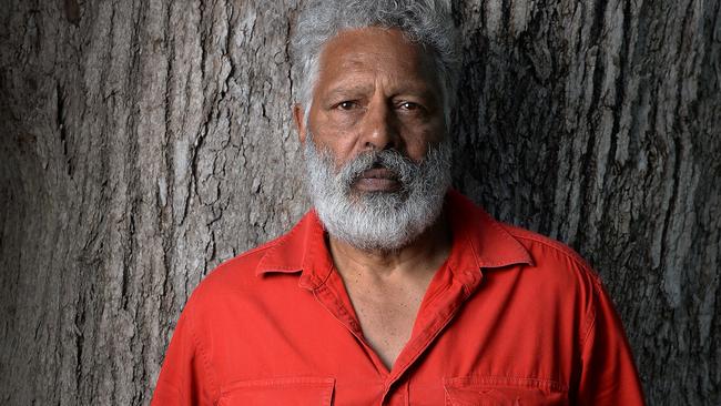 Ernie Dingo in 2016. Picture: Daniel Wilkins