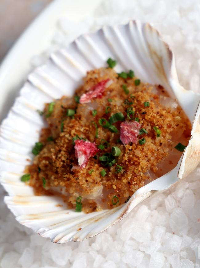 Scallop Ceviche will be part of the schnitzel degustation at The Royal Hotel in Paddington. Picture: Damian Shaw