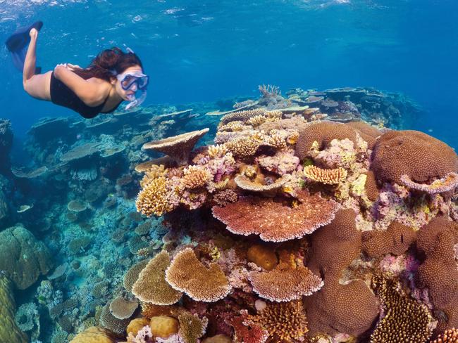 P&O Pacific Adventure great Barrier ReefPhoto -suppliedESCAPE 20 March 2022Cruise deals