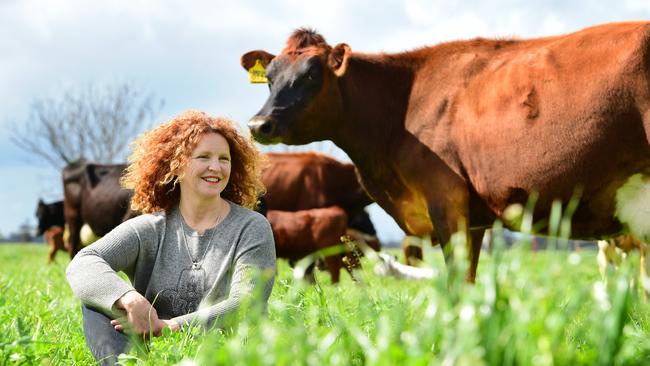How Now dairy: Taking an animal welfare approach on milking | The Weekly  Times