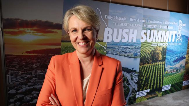 Environment Minister Tanya Plibersek. Picture: Liam Kidston