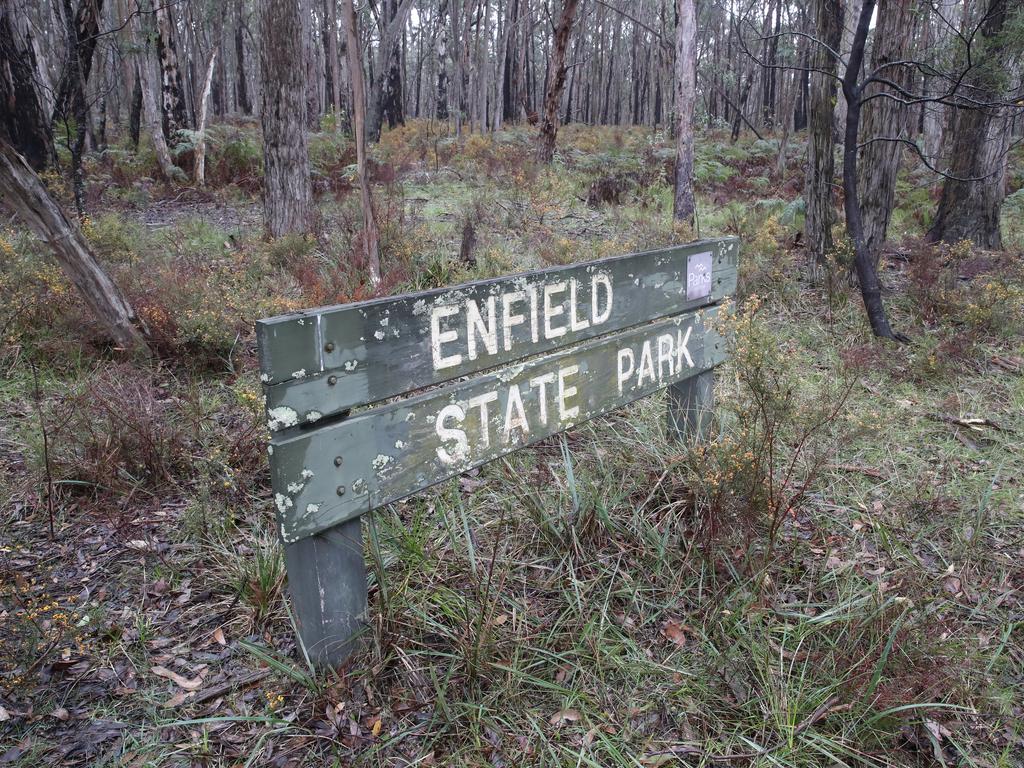 Enfield Park is south of Ballarat. Picture: NewsWire / David Crosling