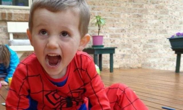 William Tyrrell: Woman heard boy's scream after toddler went missing