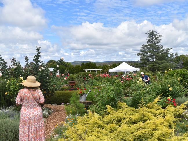 College Rd open garden apart of the Apple and Grape fest