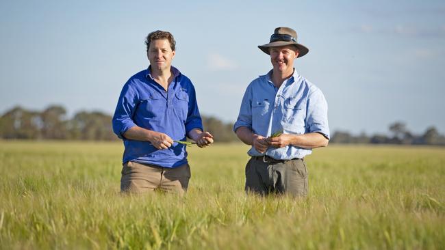 goFARM managing director Liam Lenaghan and chief farming officer Nick Raleigh at the Sandmount Farms aggregation near Katunga in northern Victoria, which is on the market for more than $250 million.