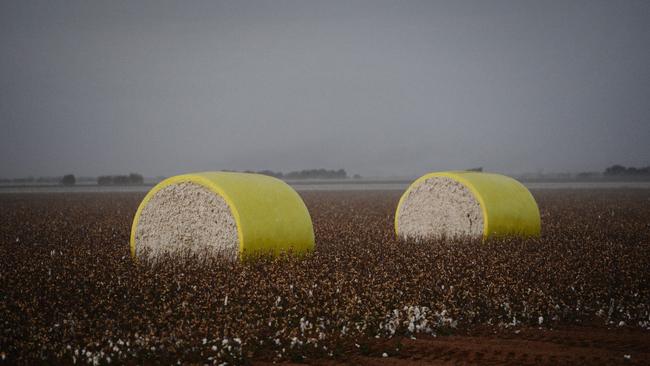 Cotton boost: According to an IBISWorld report , rainfall in the Murray Darling Basin was above-average in the six months to June, with some regions reporting their highest rainfall on record.