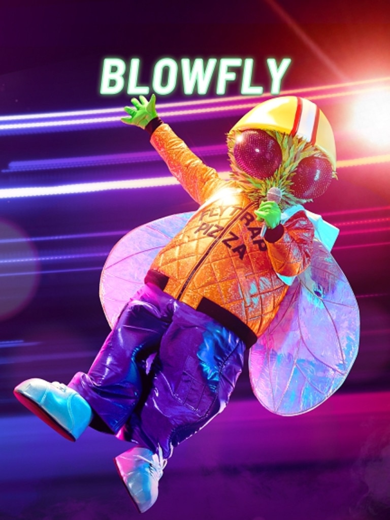 Blowfly. Picture: Supplied