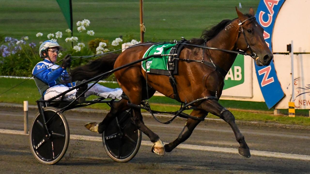 Luke McCarthy will drive King Of Swing in Saturday night's Inter Dominion Final at Menangle. Picture: Courtesy Club Menangle