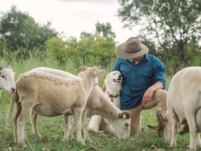 Leo Tompkins, Calico Pastoral Company, produces stud and commercial cattle and sheep at Gympie in southeast Queensland.