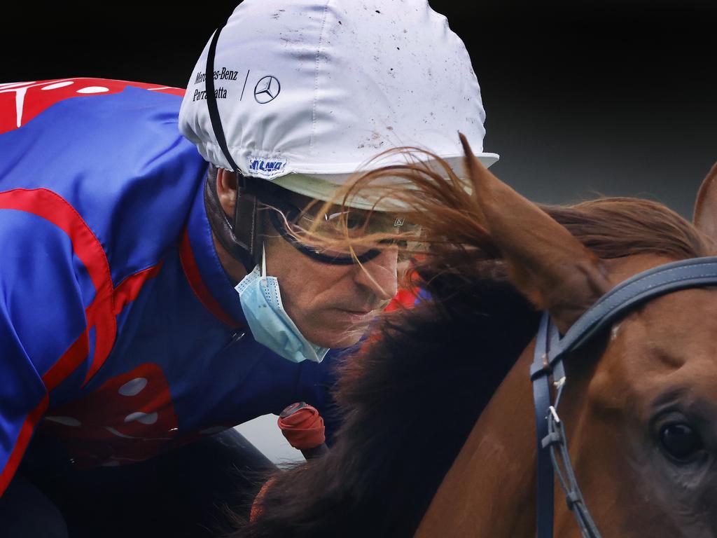 Rosehill Barrier Trials