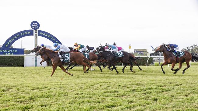 Ringarosa (no.5) wins at Warwick Farm last year. Picture: Bradley Photos