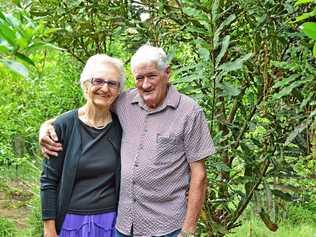 The next Lismore City Council landholder field day will be held on Ernie and Janice Taylor's Tregeagle macadamia farm. Photo: contributed. Picture: contributed