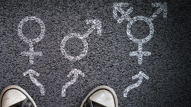 Concerned teachers say “wellbeing co-ordinators” stationed within public schools in several states, but often with no qualifications in education or psychology, are pushing transgender ideology on students. Picture: iStock