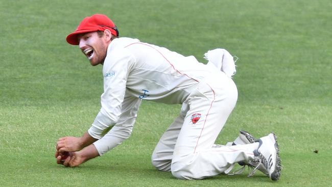 William Bosisto of the Redbacks reacts after catching Josh Philippe of the Western Warriors during day 3 of the Marsh Sheffield Shield match between the South Australia Redbacks and Western Australia Warriors at Adelaide Oval in Adelaide, Sunday, February 16, 2020. Picture: AAP Image/David Mariuz.