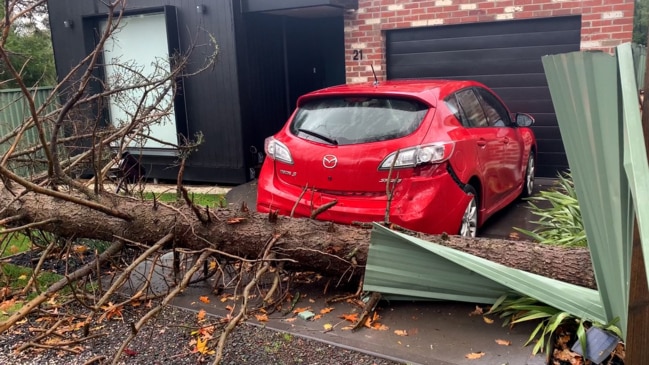 Trees uprooted, power outages as wild winds wreak havoc across state