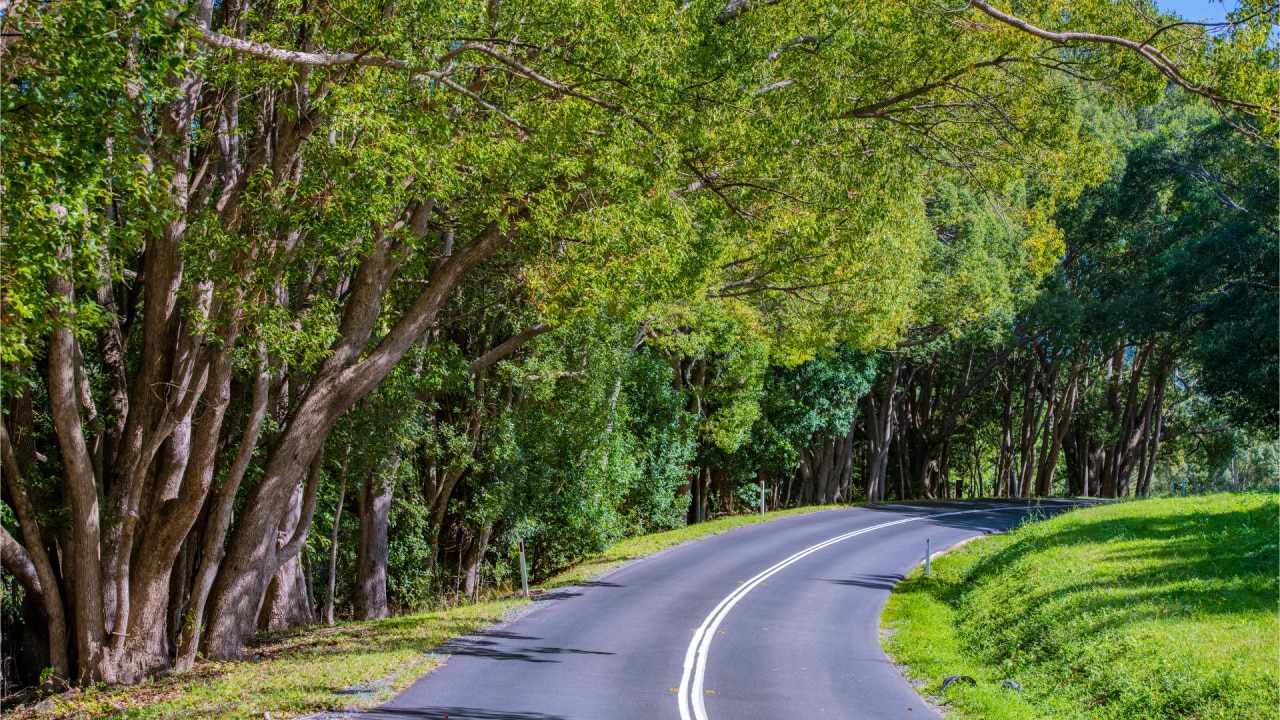 <h3><span>Best for nature meditation</span></h3><p><strong>Currumbin Valley, QLD</strong></p><p><span>Think beyond sitting cross-legged in&nbsp;</span><span>the yoga studio. At Queensland&rsquo;s Eden Health Retreat (edenhealthretreat.com.au), wellness-seekers learn how to get the full benefits of meditation practised among the elements. As soon as guests arrive at this sprawling Currumbin Valley property, they&rsquo;re immersed in a deep-breathing class, setting them up for the rest of their stay. That stay can include a self-guided meditation walk through a hypnotic stone labyrinth, getting Zen by an evening fire or an hour of intensive breathwork before dipping into an outdoor ice bath. Alternatively, roll out a yoga mat or stretch next to natural springs. Whether you check-in for three days or a week, this dreamy retreat is about honing mental resilience that will last long after you return home.</span></p>