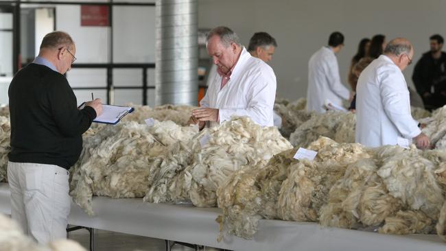 Fleece judging.