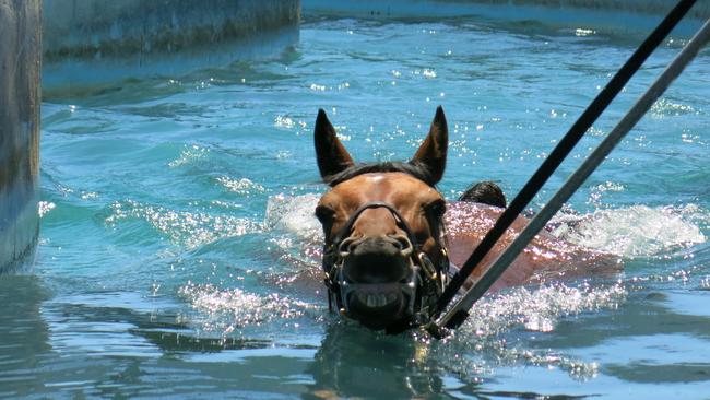 Ciaron Maher says Jameka’s in ideal order for her Melbourne Cup challenge. Picture: AAP