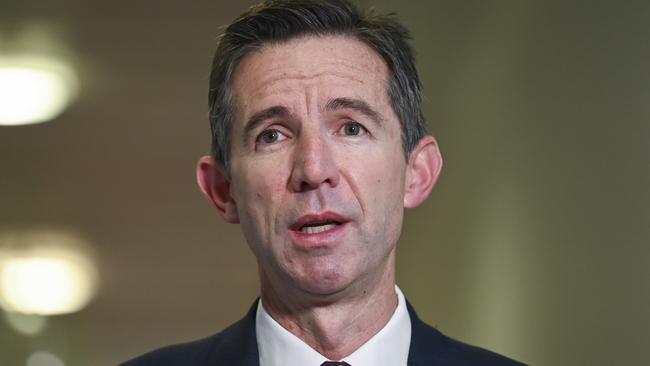 Senator Simon Birmingham said people should have to pay for the chartered flights leaving Lebanon. Picture: NewsWire/ Martin Ollman