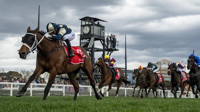 Huetor (yellow cap) chased hard behind Buckaroo last start in the Group 1 Underwood Stakes. Picture: Vince Caligiuri/Getty Images