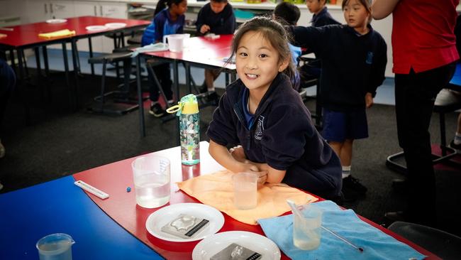 Grade 3 students at Huntingtower School completed their first NAPLAN test this year.