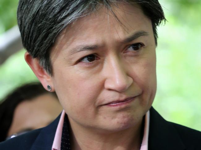 Senator Penny Wong has given a blistering personal speech on the vitriol gay Australians would be subject to if a plebiscite on same-sex marriage was held.