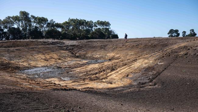 One of the dams on Noel Vallance’s Portarlington property. Picture: Brad Fleet.