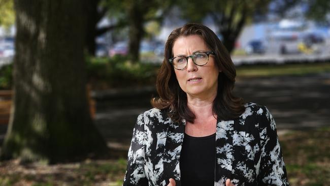 Independent MLC for Nelson Meg Webb speaks to the media on Parliament Lawns in Hobart on Thursday, April 11, 2024.