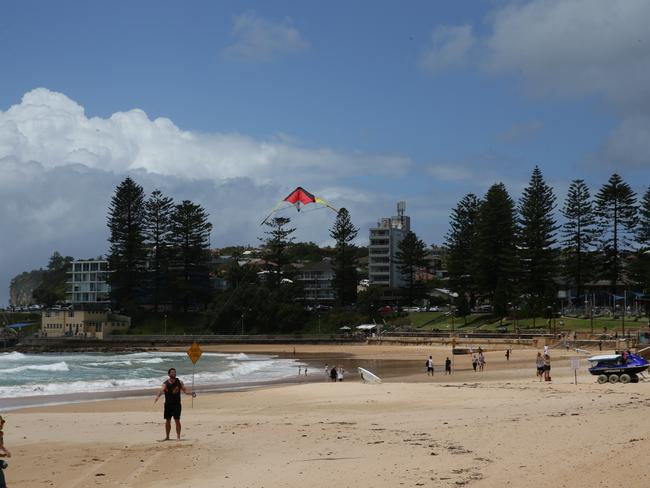 The possum was found at Dee Why Beach.