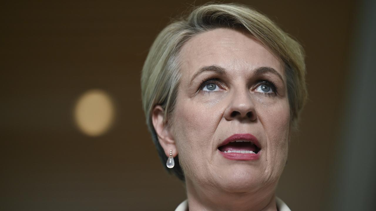 Minister for the Environment and Water Tanya Plibersek. Picture: NCA NewsWire / Martin Ollman