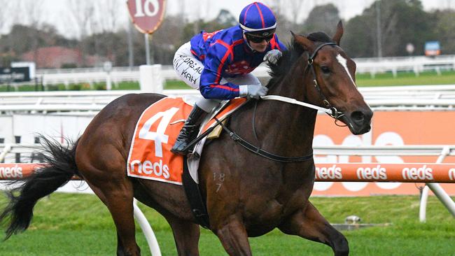 Jamie Kah will be aiming to qualify Ayrton for the Stradbroke Handicap. Picture: Getty Images