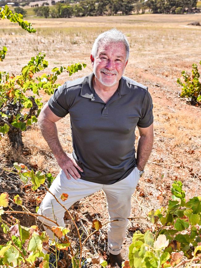 Seppeltsfield winery owner Warren Randall. Picture: Brenton Edwards