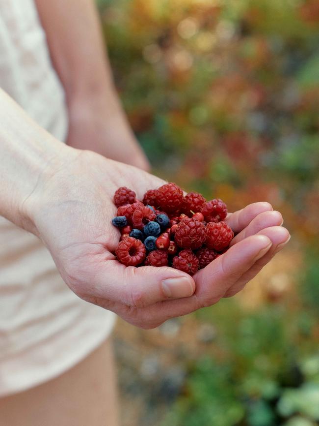 Collecting wild berries on the island of Norrkullalandet, Finland. Picture: Lauren Bamford