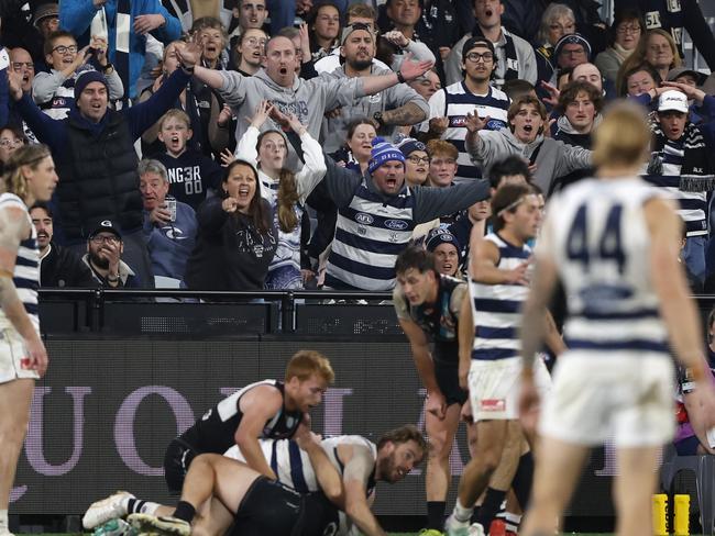 Were the Cats unlucky in the dying stages of Friday night? (Photo by Darrian Traynor/Getty Images)