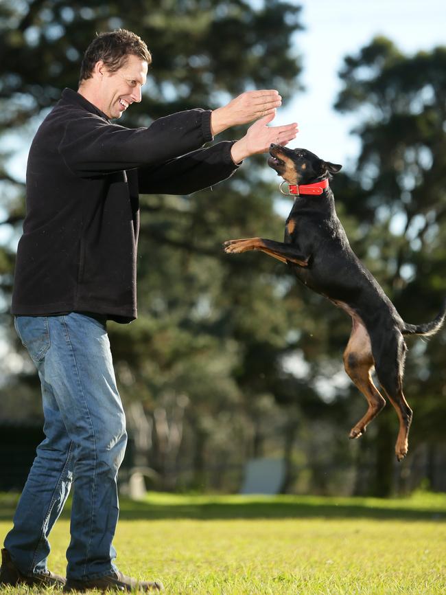 Mr Edwards and Spook showing off their skills.