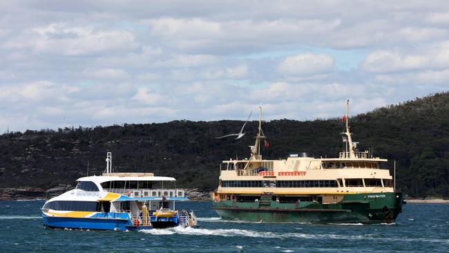 Two of Manly ferries, the Freshwater and Manly fast ferry. Picture: NCA NewsWire / Damian Shaw