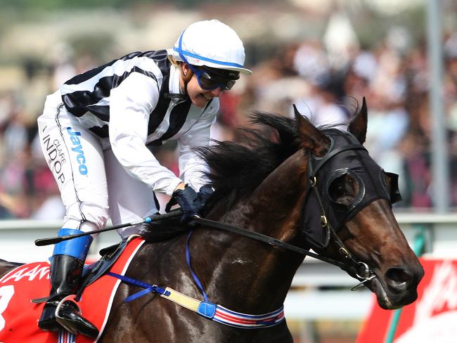 Racehorse Rebel Raider ridden by jockey Clare Lindop wins race 7 at the 2008 Derby Day at Flemington Racecourse in Melbourne.