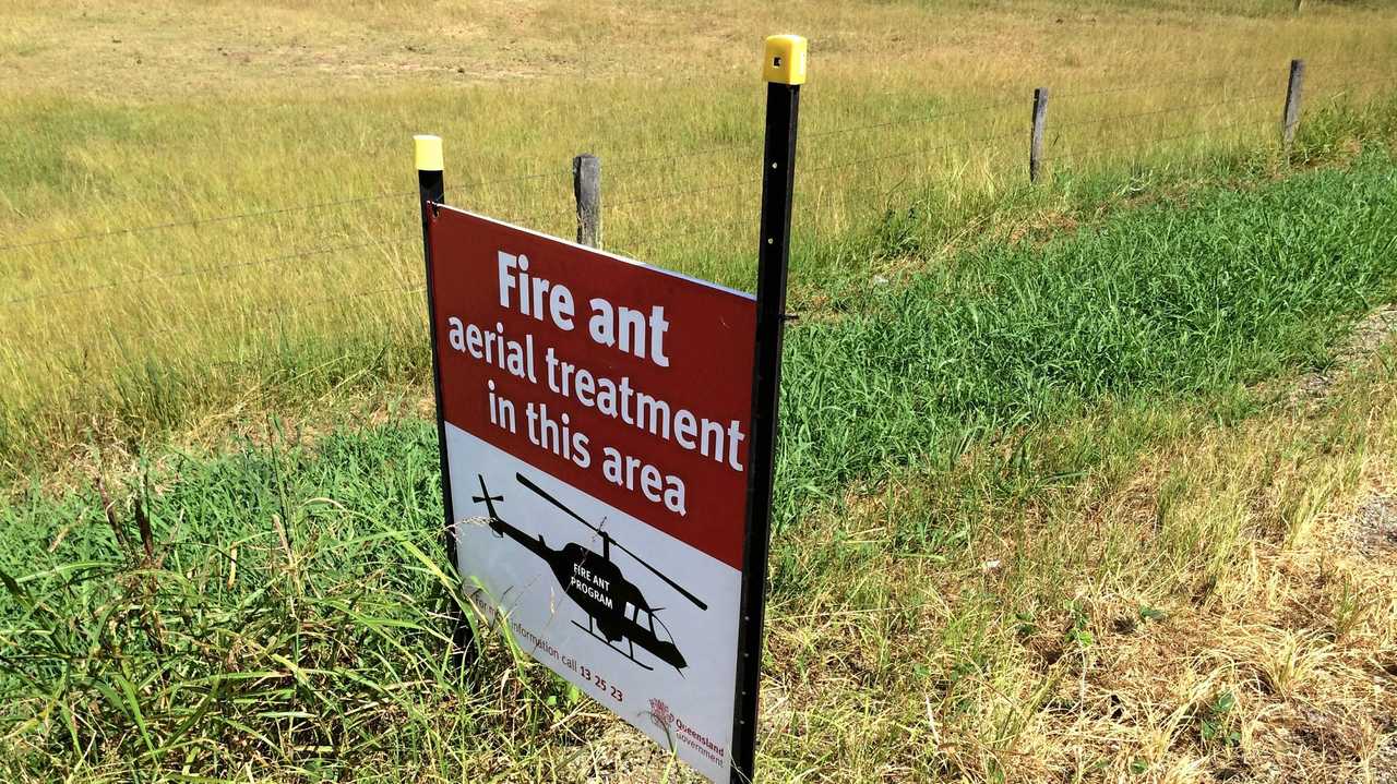 Fire ant warning sign at Warrill View. Picture: Gerard Walsh