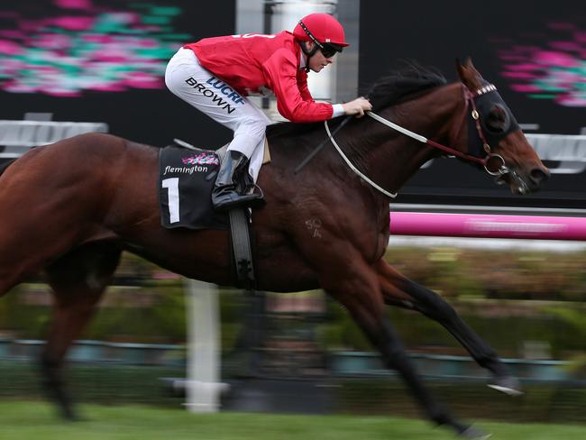 Iconoclasm proves too good last start at Flemington. Picture: AAP