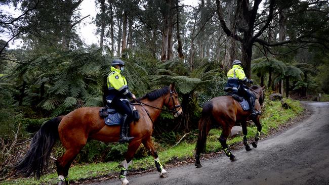 Police warned search conditions were treacherous with wet weather hampering efforts. Picture: Andrew Henshaw