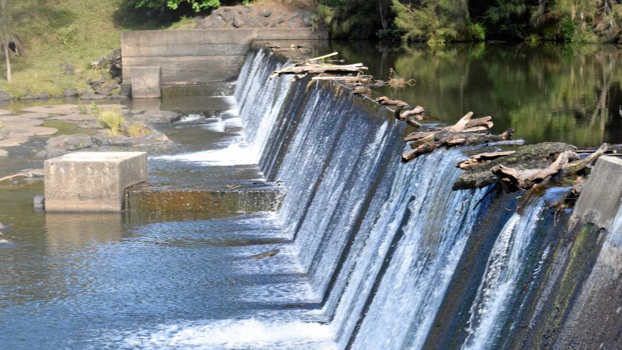 RED ALERT: Toxic algae found in Richmond River | Daily Telegraph