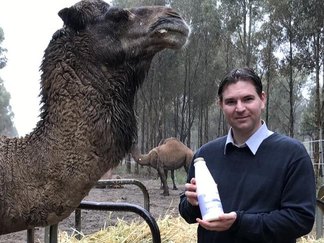 Man $250k richer from camel milk